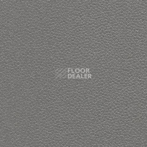 Линолеум Forbo SafeStep Aqua 180092 elephant фото 1 | FLOORDEALER